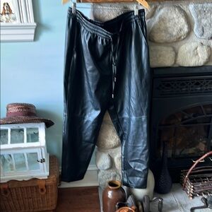 Womens Black pleather Pants Shelley Siegel NWTS